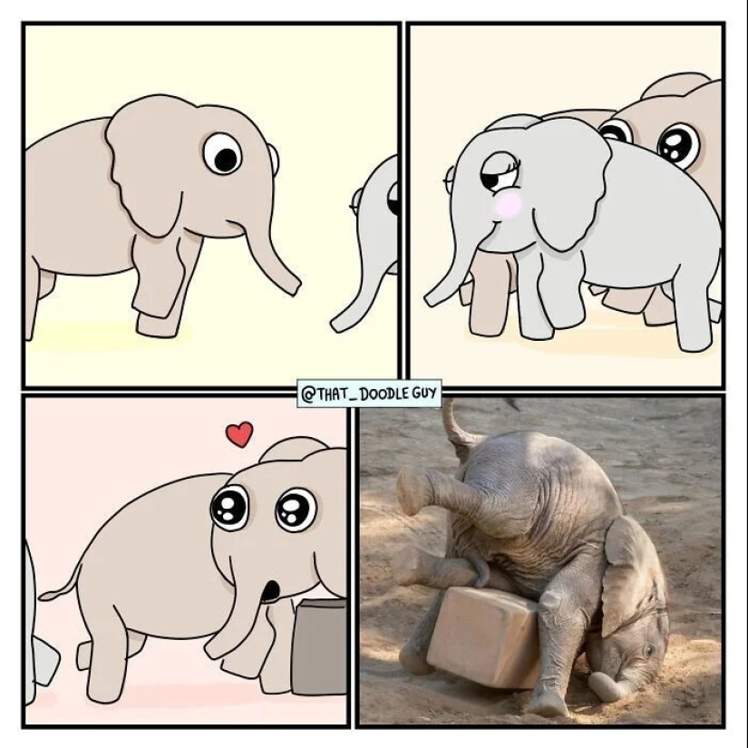 25 cute comics based on photo memes about animals 25 cute comics based on photo memes about animals