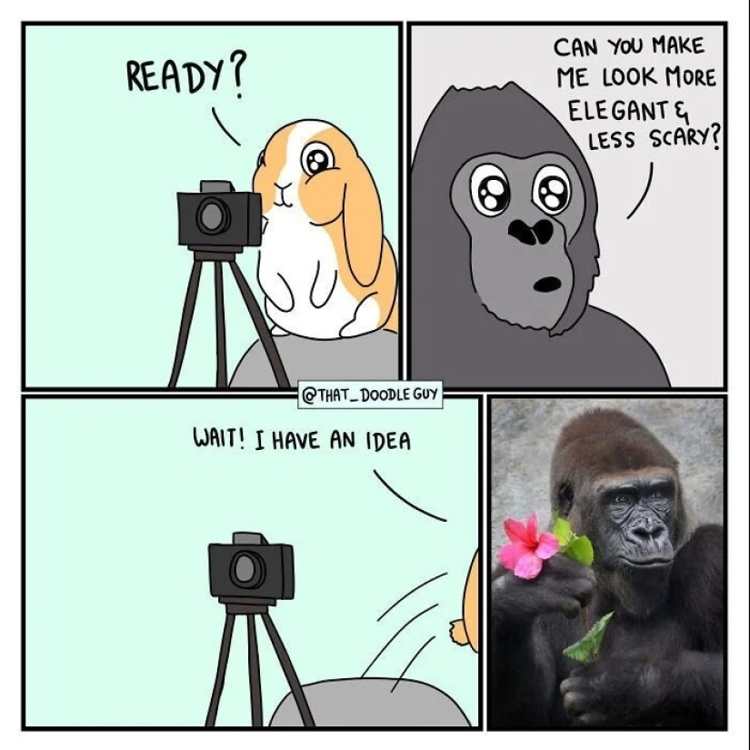 25 cute comics based on photo memes about animals 25 cute comics based on photo memes about animals