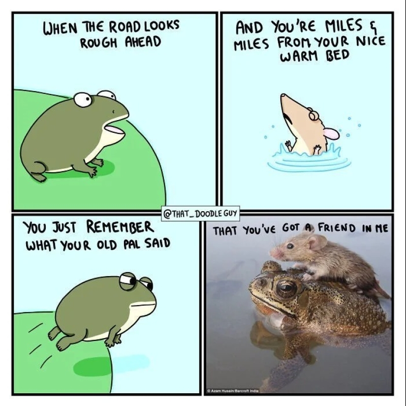 25 cute comics based on photo memes about animals 25 cute comics based on photo memes about animals
