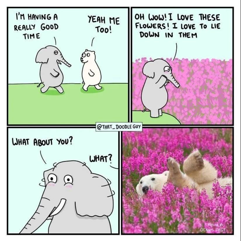 25 cute comics based on photo memes about animals 25 cute comics based on photo memes about animals