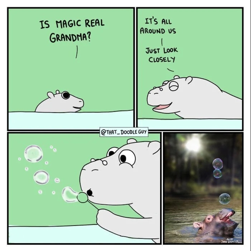 25 cute comics based on photo memes about animals 25 cute comics based on photo memes about animals