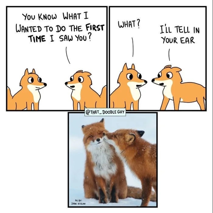 25 cute comics based on photo memes about animals 25 cute comics based on photo memes about animals