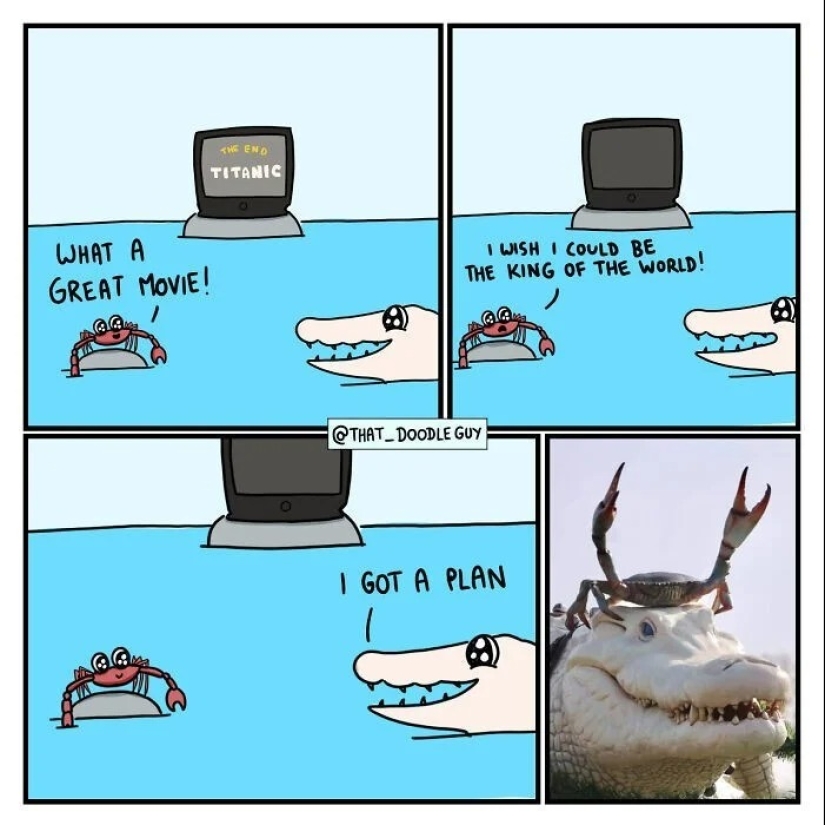 25 cute comics based on photo memes about animals 25 cute comics based on photo memes about animals