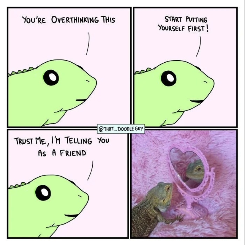 25 cute comics based on photo memes about animals 25 cute comics based on photo memes about animals