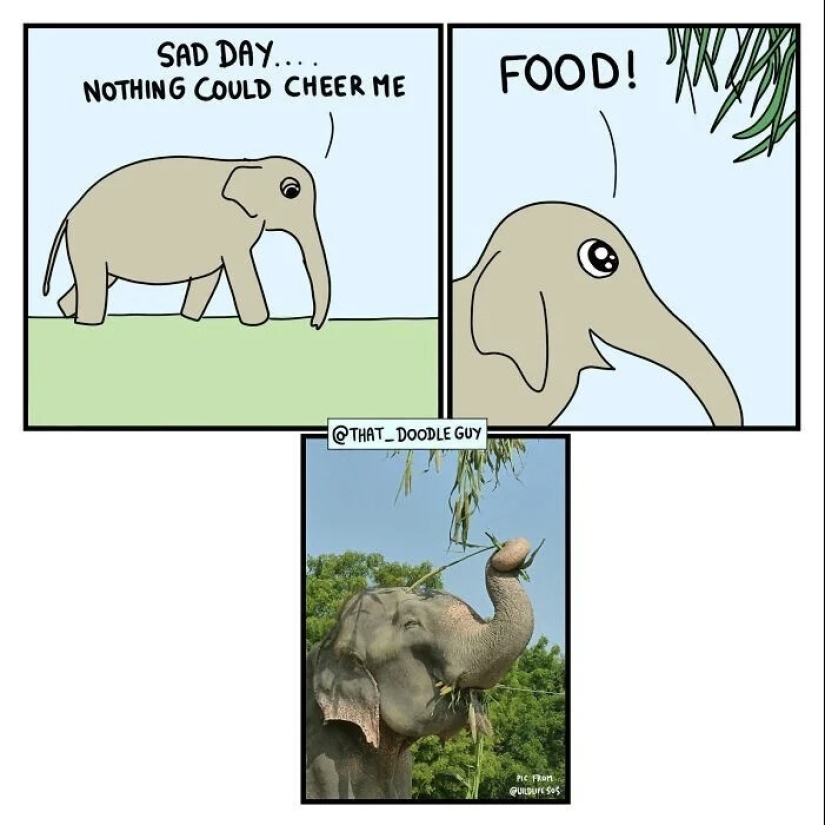 25 cute comics based on photo memes about animals 25 cute comics based on photo memes about animals