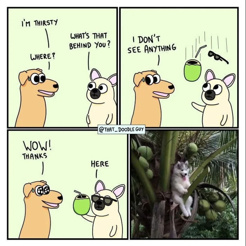 25 cute comics based on photo memes about animals 25 cute comics based on photo memes about animals