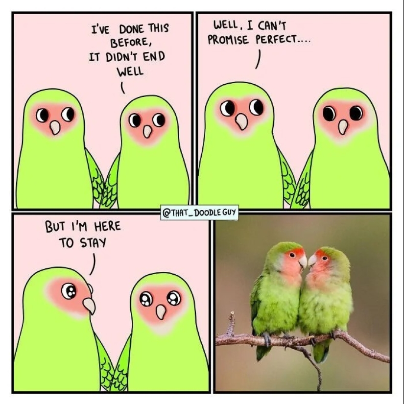 25 cute comics based on photo memes about animals 25 cute comics based on photo memes about animals