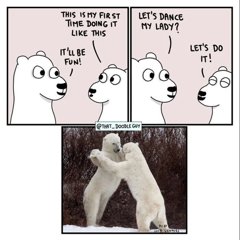 25 cute comics based on photo memes about animals 25 cute comics based on photo memes about animals