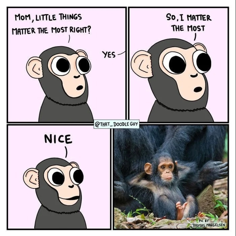 25 cute comics based on photo memes about animals 25 cute comics based on photo memes about animals