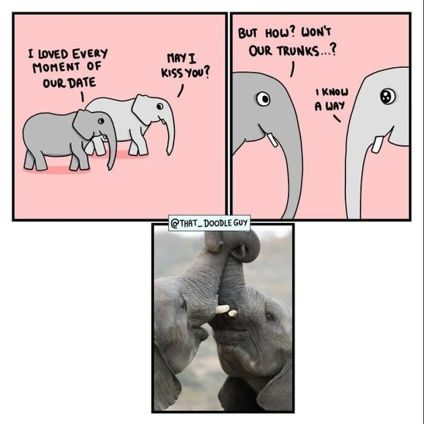 25 cute comics based on photo memes about animals 25 cute comics based on photo memes about animals