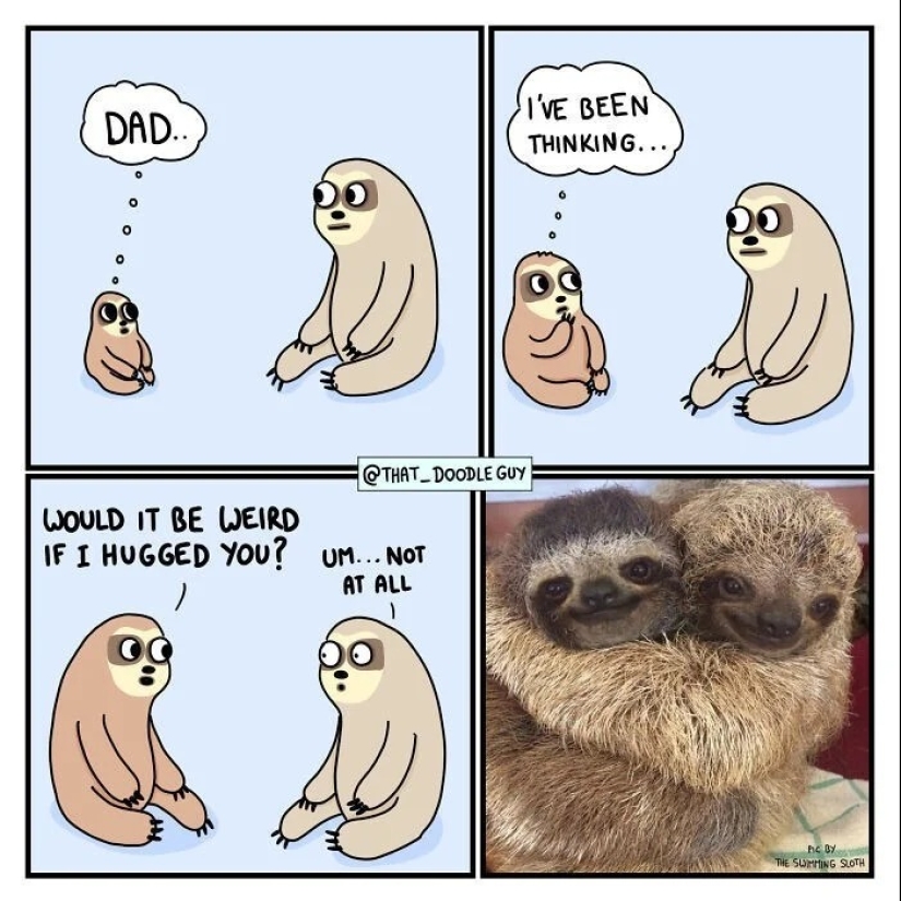 25 cute comics based on photo memes about animals 25 cute comics based on photo memes about animals