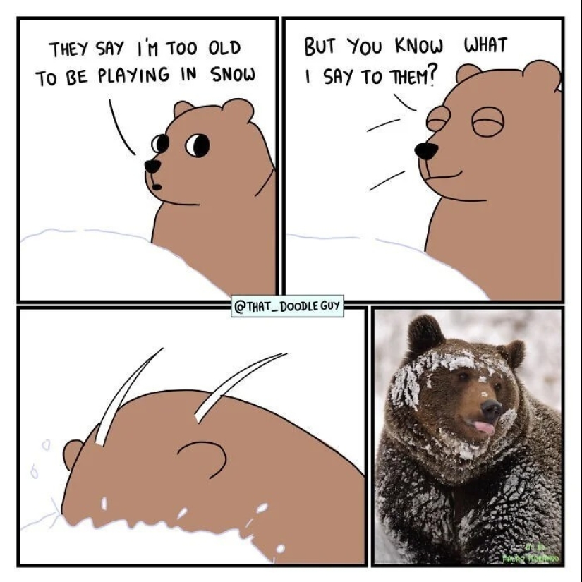 25 cute comics based on photo memes about animals 25 cute comics based on photo memes about animals