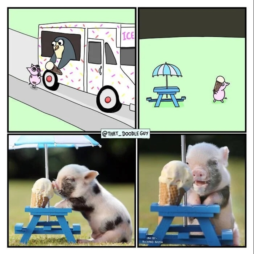 25 cute comics based on photo memes about animals 25 cute comics based on photo memes about animals