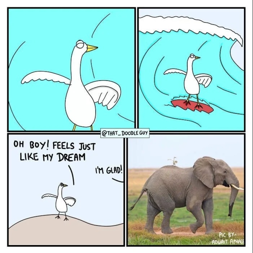 25 cute comics based on photo memes about animals 25 cute comics based on photo memes about animals