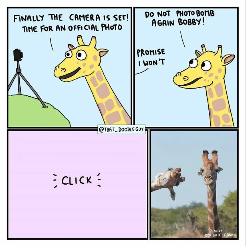 25 cute comics based on photo memes about animals 25 cute comics based on photo memes about animals