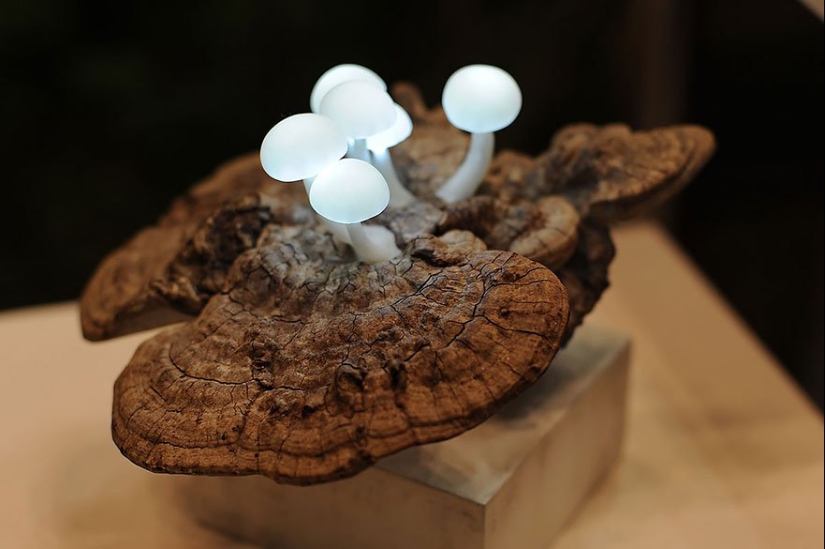 25 de los accesorios de iluminación más creativos jamás creados por diseñadores de todo el mundo