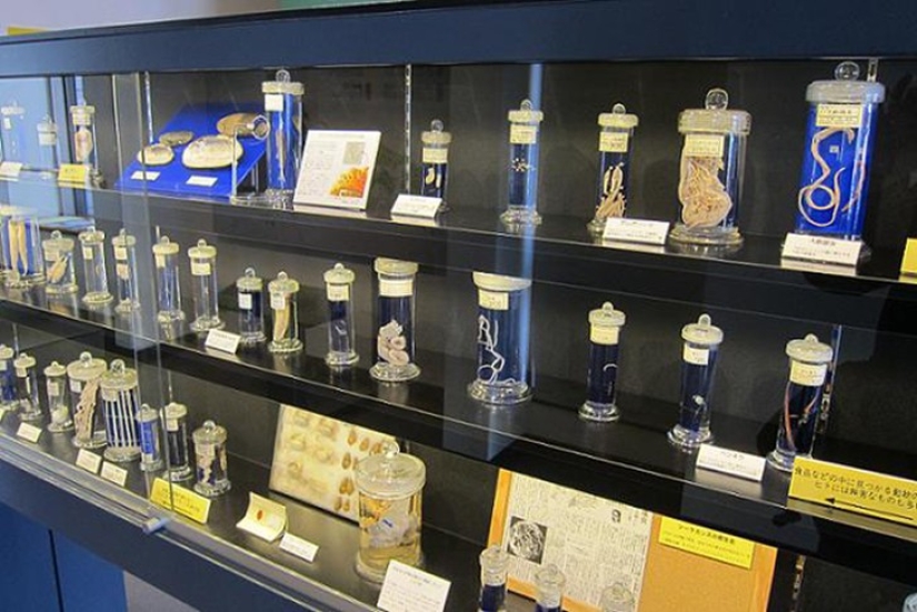 25 de los museos más extraños del mundo.