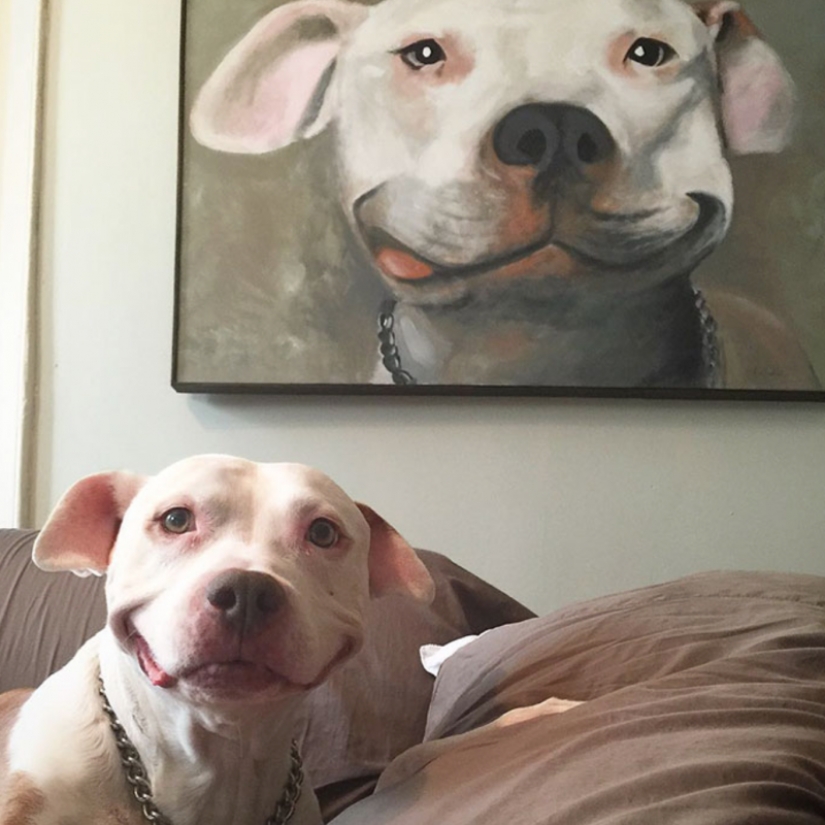 25 dogs that will make your day happier 25 dogs that will make your day happier