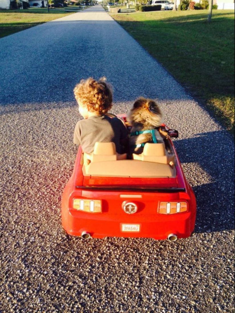 25 dogs that will make your day happier 25 dogs that will make your day happier