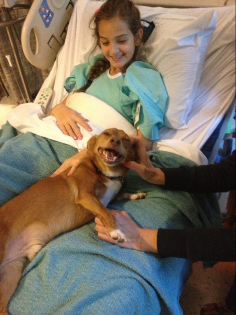 25 dogs that will make your day happier 25 dogs that will make your day happier