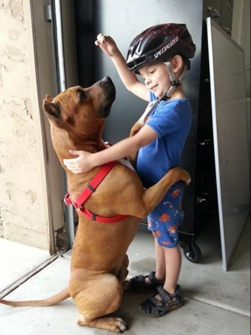 25 dogs that will make your day happier 25 dogs that will make your day happier