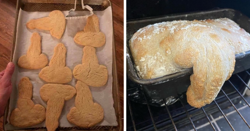 25 examples of quarantine baking, which failed