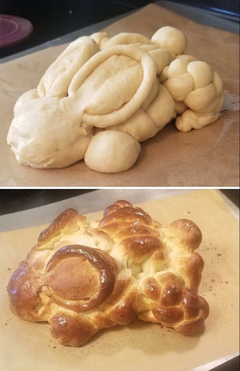 25 examples of quarantine baking, which failed