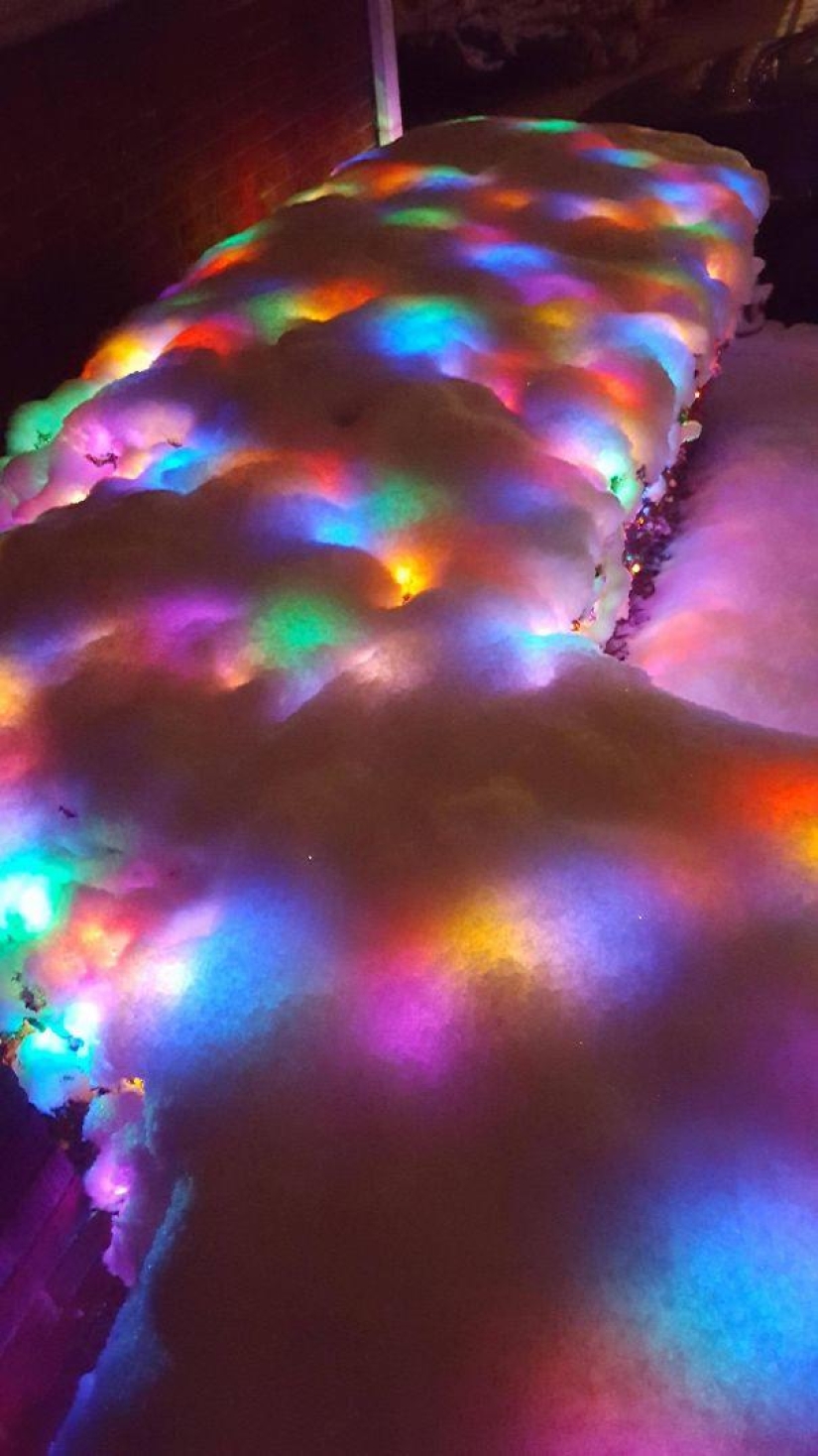 25 examples when nature has created beautiful works of art