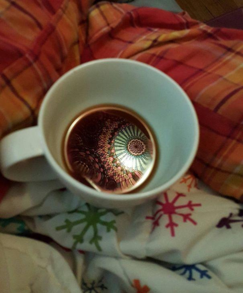 25 examples when nature has created beautiful works of art