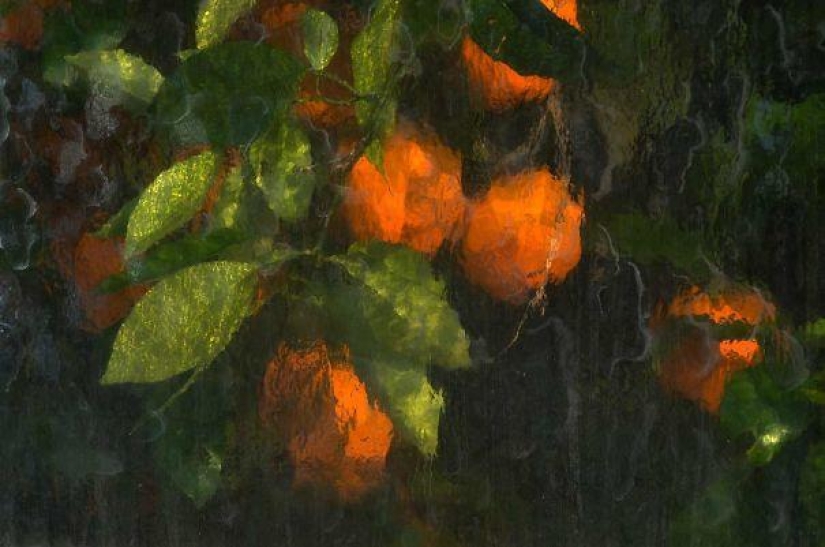 25 examples when nature has created beautiful works of art