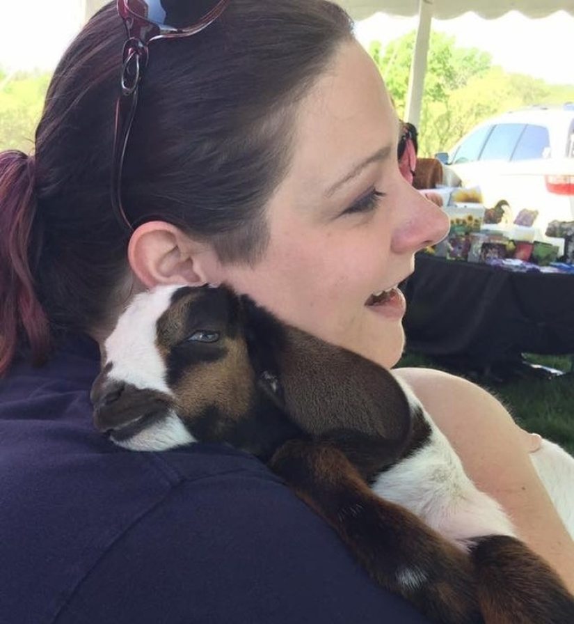 25 fluffy and cute proofs that baby goats can outshine kittens and puppies with their sweetness
