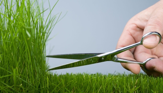 25 fotos de las cuales los artistas visuales tendrán un orgasmo estético