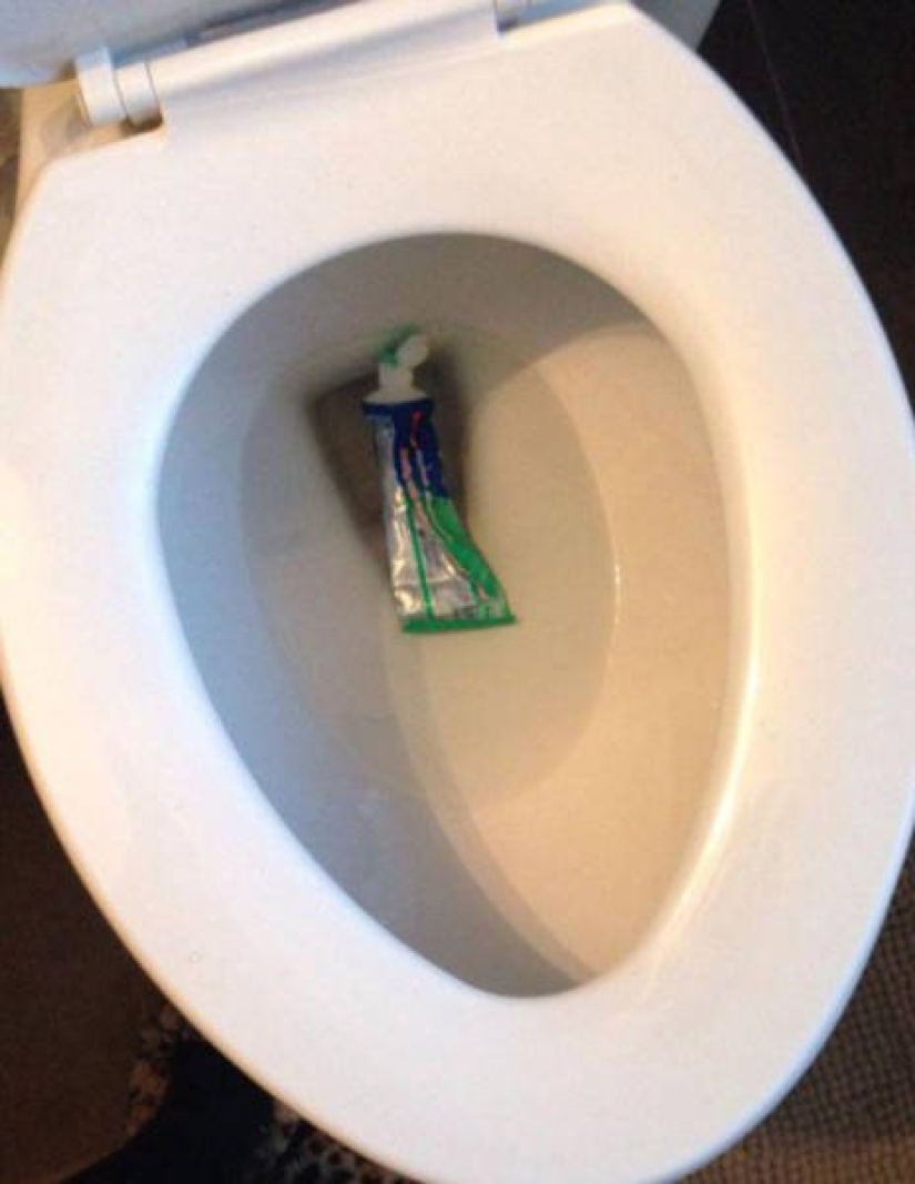 25 fotos de personas que claramente tienen grandes problemas con la suerte 25 fotos de personas que claramente tienen grandes problemas con la suerte