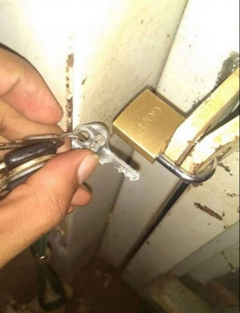 25 fotos de personas que claramente tienen grandes problemas con la suerte 25 fotos de personas que claramente tienen grandes problemas con la suerte