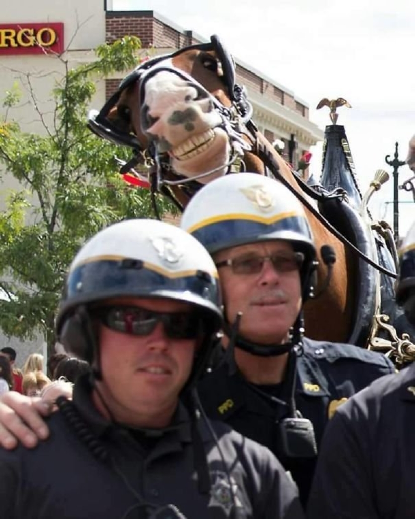 25 fotos donde toda la diversión que sucede en el fondo 25 fotos donde toda la diversión que sucede en el fondo