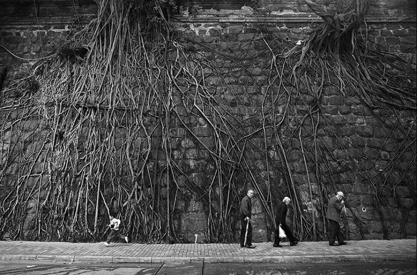 25 fotos que la naturaleza es la más fuerte 25 fotos que la naturaleza es la más fuerte