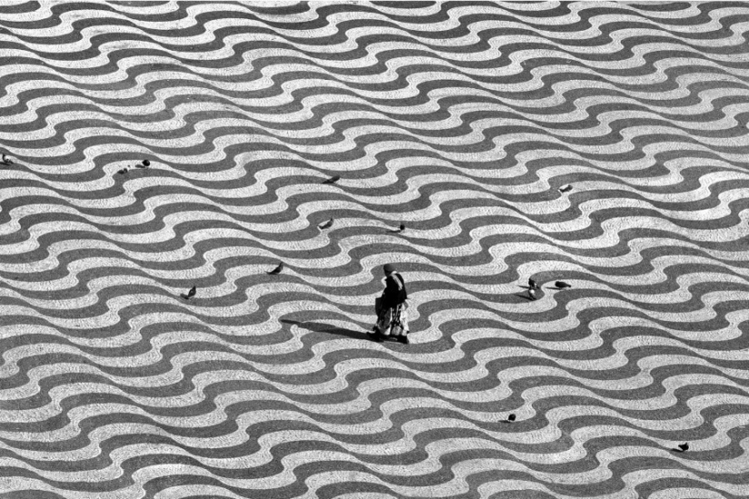 25 fotos que vas a tener que mirar dos veces