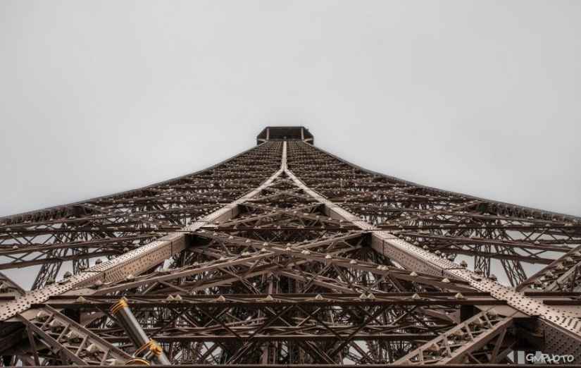 25 fotos que vas a tener que mirar dos veces