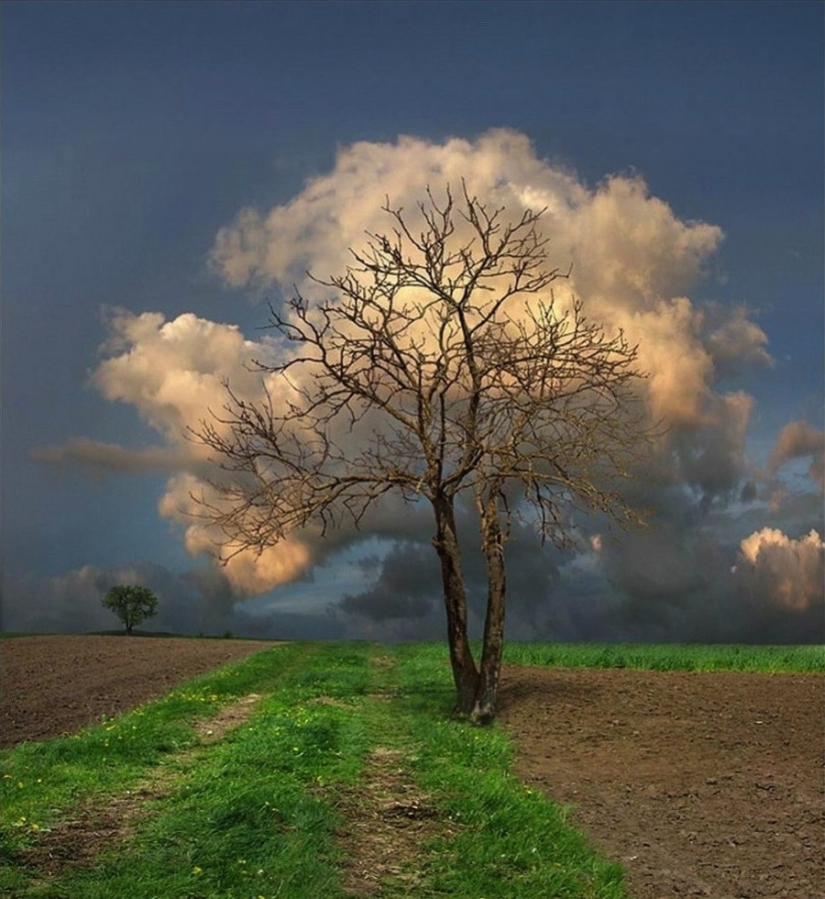 25 fotos que vas a tener que mirar dos veces