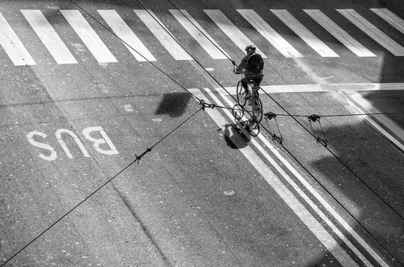 25 fotos que vas a tener que mirar dos veces