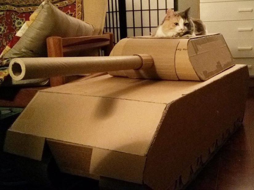 25 funny photos of cats in cardboard tanks that captured social networks