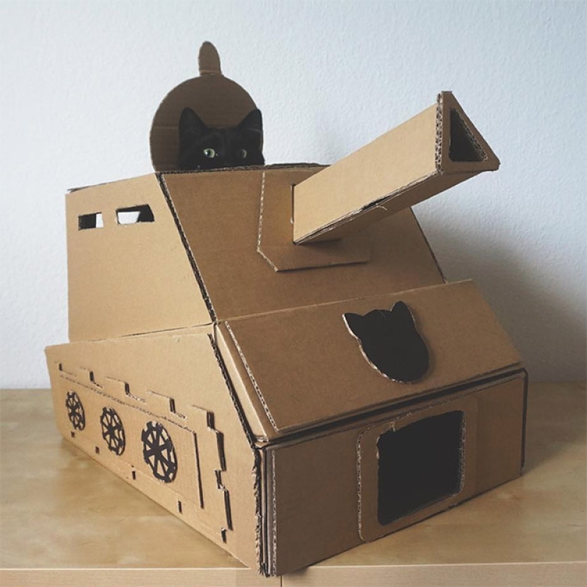 25 funny photos of cats in cardboard tanks that captured social networks