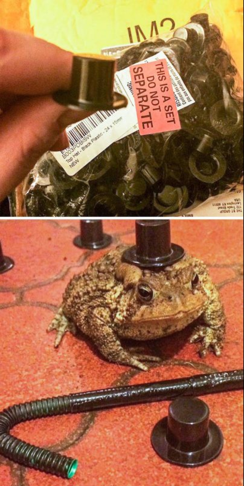 25 funny, strange and stupid actions of drunk people 25 funny, strange and stupid actions of drunk people