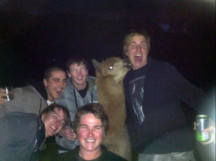 25 funny, strange and stupid actions of drunk people 25 funny, strange and stupid actions of drunk people