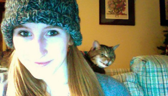 25 gatos insidiosos que planeaban matar en secreto a sus dueños 25 gatos insidiosos que planeaban matar en secreto a sus dueños