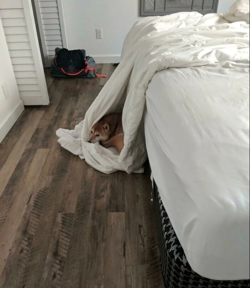 25 genios que derrotaron al sistema siguiendo las reglas 25 genios que derrotaron al sistema siguiendo las reglas