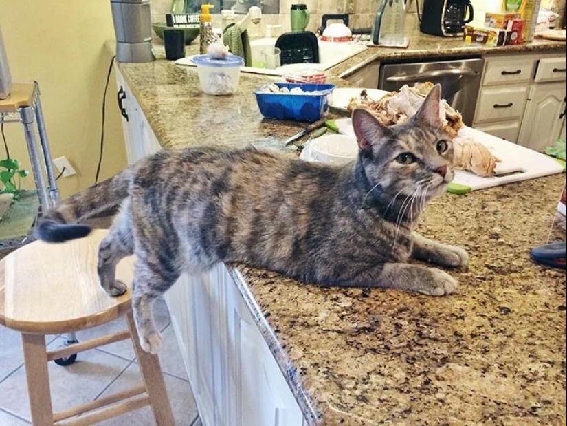 25 geniuses who defeated the system by following the rules