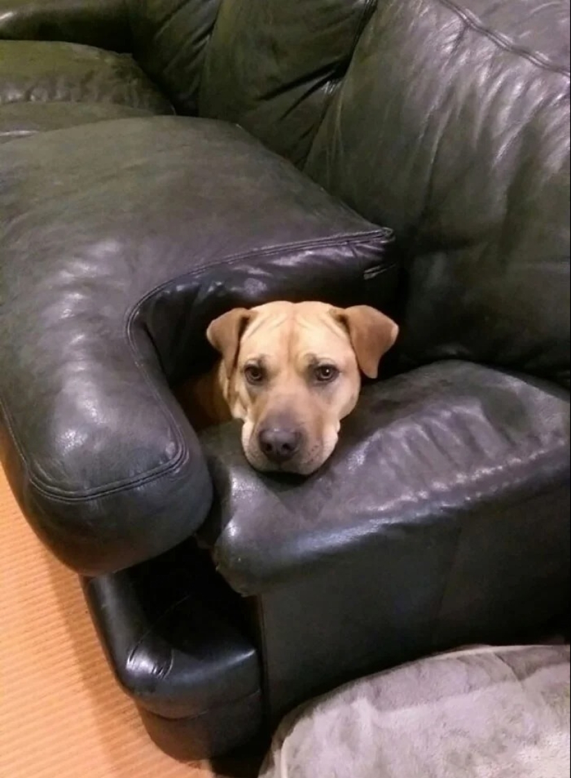 25 geniuses who defeated the system by following the rules