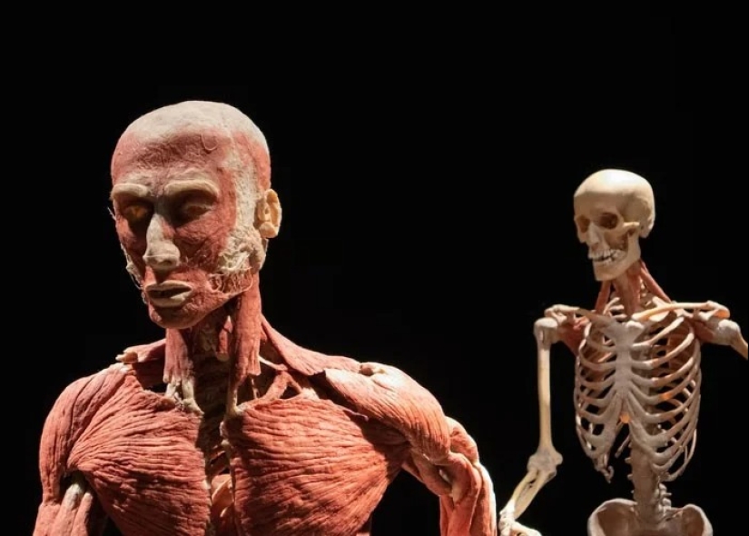 25 hechos extraños, espeluznantes y espeluznantes sobre el cuerpo humano 25 hechos extraños, espeluznantes y espeluznantes sobre el cuerpo humano