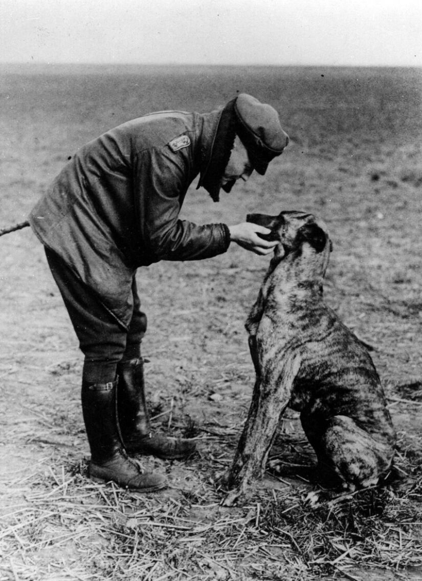 25 historical photos that captured the dramatic moments of the past 25 historical photos that captured the dramatic moments of the past